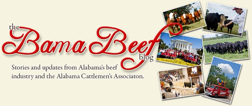 Bama Beef Blog Weekly Update: October 28, 2020
