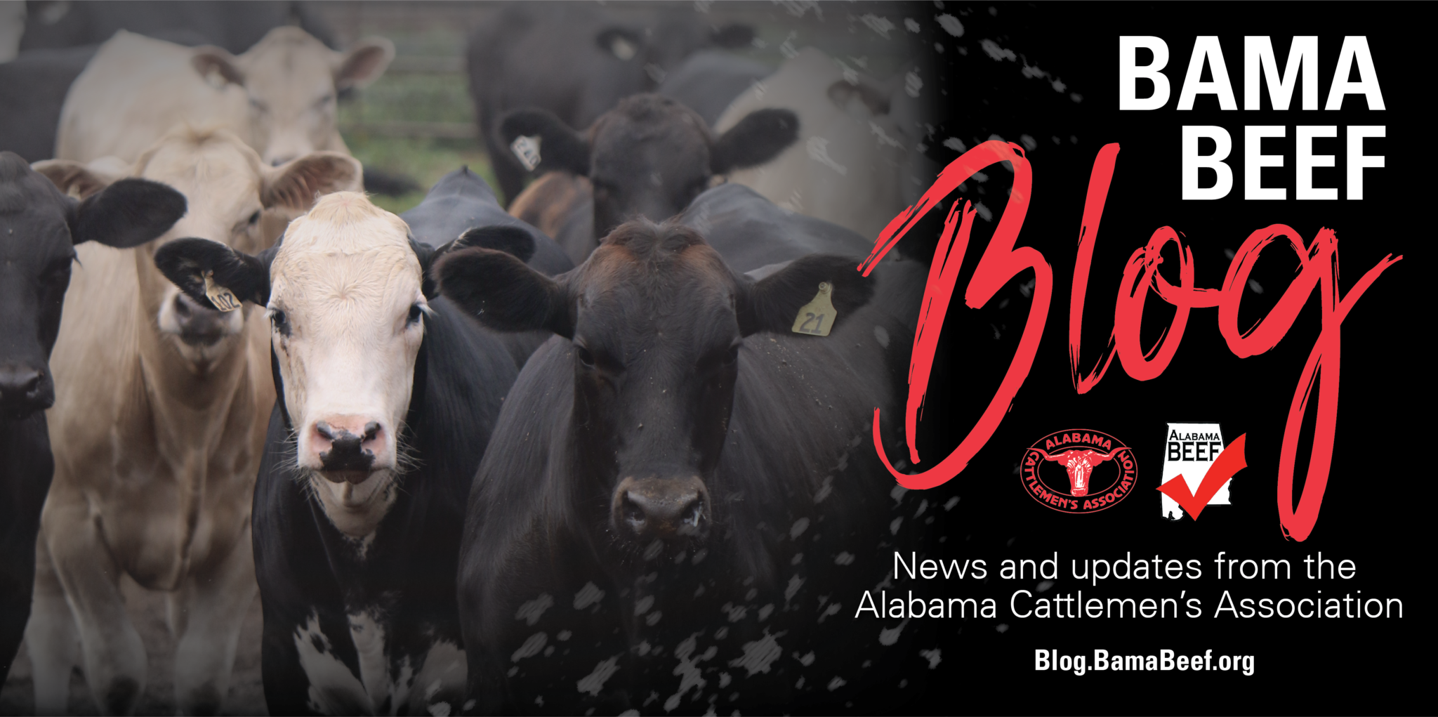 Alabama Cattlemen's Association | Blog